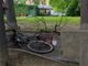 Giardini pubblici: a causa del forte vento un ramo cade in testa ad un ciclista