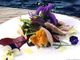 Sanremo: agricoltori e chef a scuola per studiare i fiori eduli