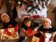 Vivi un Natale solidale con la Collina degli Elfi