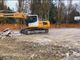Ruspe al lavoro al parco Bramante di Asti