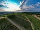Le colline del Ruché di Castagnole Monferrato