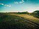 Le colline della Barbera di Costigliole d'Asti ritratte sontuosamente da Exploria