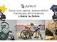 Un'immagine promozionale della Campagna &quot;Libera la zebra&quot;