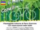 Passeggiata notturna al Parco Scarrone di Canelli, per &quot;M'illumino di meno 2022&quot;