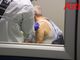 Test antigenici rapidi e dispositivi medici di protezione alle strutture residenziali regionali e alle aziende sanitarie