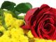 In occasione dell'8 marzo, tante iniziative ad Asti per celebrare la donna