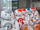 La squadra del Liceo Scientifico astigiano &quot;F. Vercelli&quot; si impone nella gara di robotica “Nao Challenge&quot;