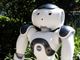 Il robot umanoide Nao, che verrà utilizzato nel corso del seminario di giovedì