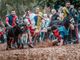 Palio degli asini di Cocconato d'Asti