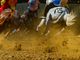 Il Palio di Asti sarà visibile in tutto il mondo grazie a RAI Italia