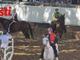 Terminate le prove generali, ultime indicazioni per il Palio [GALLERIA FOTOGRAFICA]