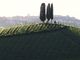 Vacanze nell’Astigiano in cammino tra le vigne