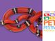 Vieni a conoscere rettili e anfibi a Petsfestival 2019