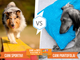 Partecipa al contest “Cani sportivi vs cani pantofolai” con Petsfestival