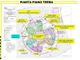 La planimetria di uno dei piani del futuro Presidio sanitario