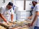 Pro Loco di Serravalle al lavoro con il tonno di coniglio