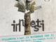 La locandina del documentario "Innesti" La locandina del documentario "Innesti"