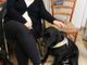 Un cane guida per donare la vista a un non vedente