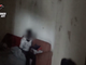 Canelli: sfruttavano manodopera di profughi e rifugiati politici, arrestati tre albanesi consiglieri di una Cooperativa (VIDEO)