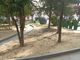 Foto che documentano la siccità nel giardini Alganon prospicienti piazza Roma