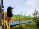 Sostenibile come un treno