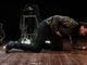 Un'immagine di scena tratta da &quot;Shakespearology&quot;
