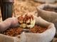 Presentato il Tiramisù Cookbook 2023: raccolta imperdibile delle più golose ricette di tiramisù dell’anno
