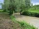 Torrente Tiglione