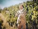 Vitaliano Maccario, neo presidente del Consorzio Barbera d'Asti e Vini del Monferrato