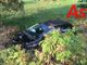 Auto finisce in un fosso per evitare un cinghiale, lievi lesioni per l’automobilista