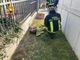 Capriolo salvato dai vigili del fuoco