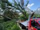 Vigili del fuoco impegnati nella rimozione di due grossi alberi caduti
