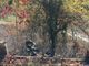 Robella: incendio sterpaglie nel giardino di una casa. Intervengono i vigili del fuoco