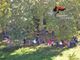 Un'immagine relativa una precedente edizione della Giornata degli Alberi