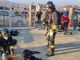 Vigili del fuoco impegnati nel soccorrere i cani della famiglia intossicata e altri soccorritori sullo sfondo