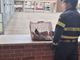 Asti: i vigili del fuoco hanno ‘soccorso’ una gazza entrata in un palazzo
