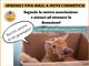 Con una semplice mail sarà possibile sostenere l'associazione Protezione Micio
