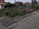 Malandrone: &quot;Perché sono stati abbattuti gli alberi in strada delle Quaglie?&quot; [FOTO]