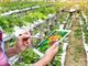 La digitalizzazione del Quaderno di campagna solleva dubbi e perplessità tra gli agricoltori