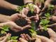 Agricoltura: raggiunti gli obiettivi per il Programma di Sviluppo Rurale 2014- 2020