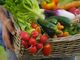 In Italia boom dell'agricoltura bio, ma attenzione alle frodi