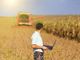 Insediato il nuovo consiglio degli Agrotecnici di Asti