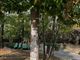 Ai giardini Alganon tornano i vandali. Scritte su una pianta all'entrata da via Mons Rossi