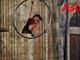 Un momento dell'apertura (MerfePhoto)