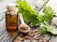 Cos’è l’aromaterapia e quali sono i suoi vantaggi?