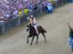 Il vincitore del Palio di Siena