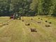 Aiuti per l'avviamento di attività imprenditoriali per attività extra agricole. Un bando del Gal Basso Monferrato Astigiano