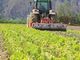 Psr Piemonte investimenti nelle aziende agricole: la Regione proroga al 1 marzo la scadenza del bando