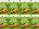 Lidl Italia richiama numerosi lotti di battette muesli e cereali alla nocciola