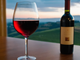 Le eccellenze vinicole del Piemonte e Astigiano al 32° Wine Festival di Merano